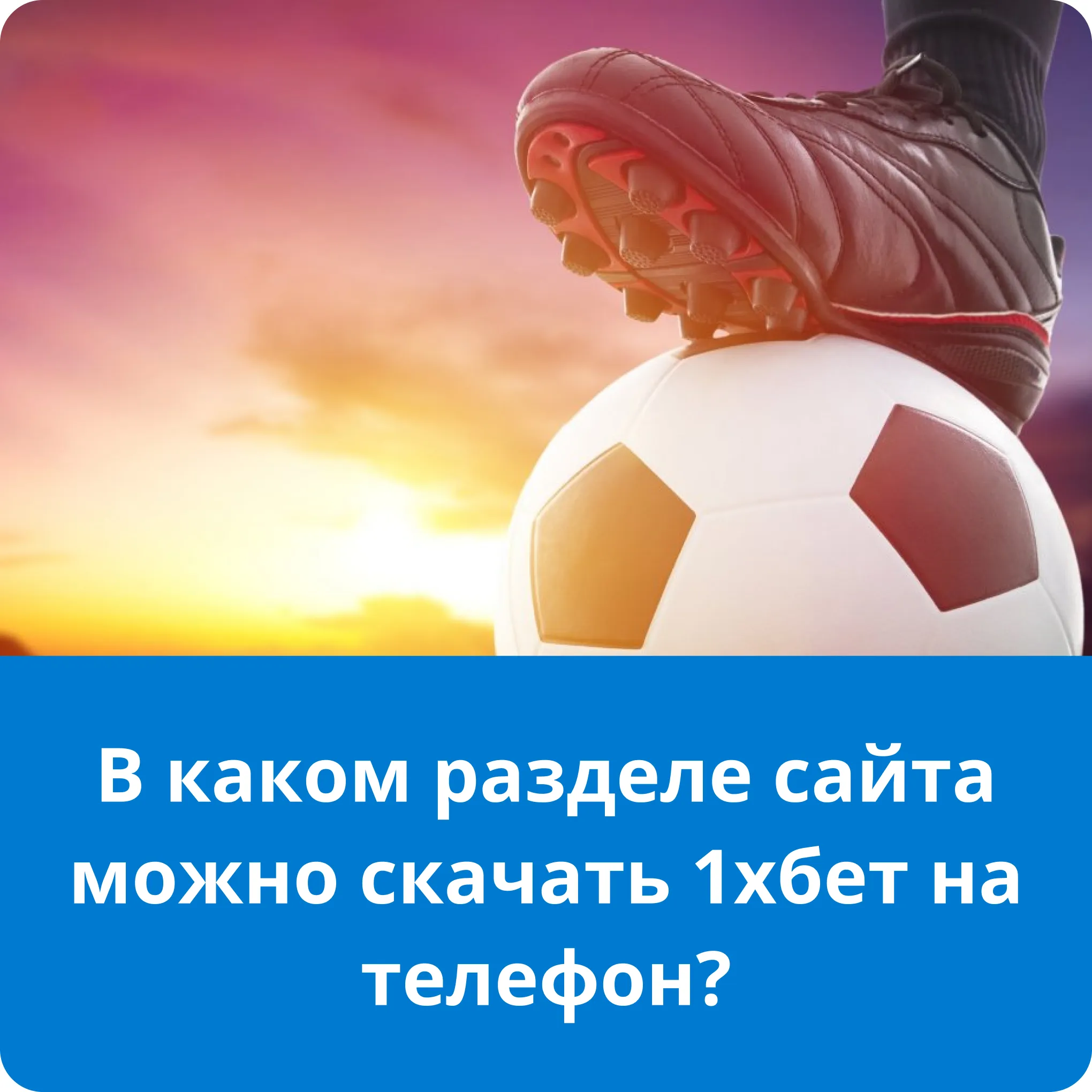 1xbet